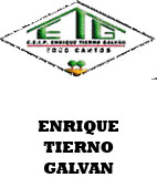 ENRIQUE TIERNO GALVAN
