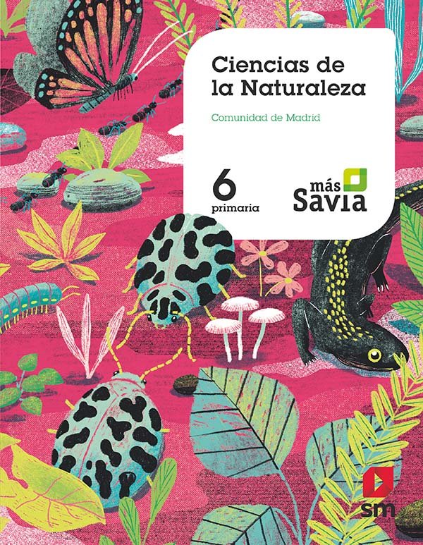 6º EP.(MAD)CIENCIAS DE LA NATURALEZ-MSA 19