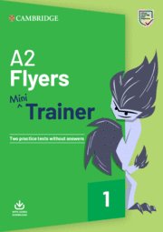 FUN SKILLS MINI FLYERS